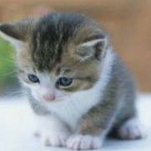 Meet your Posher, Kasandra